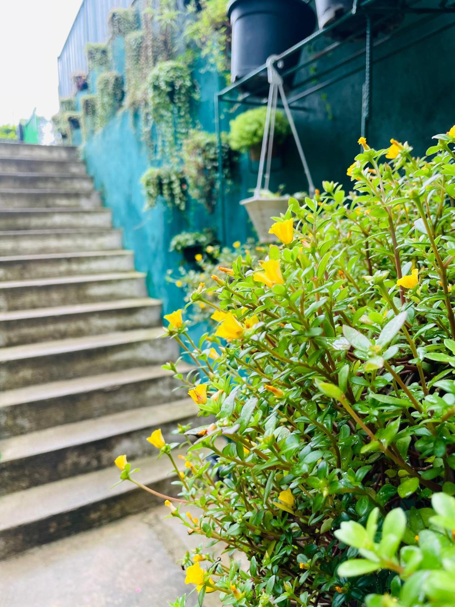 Little Paradise Homestay Елла Екстер'єр фото