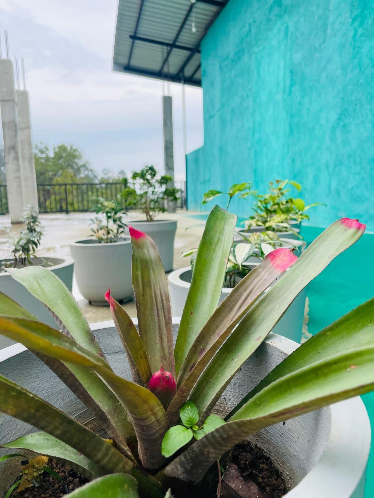 Little Paradise Homestay Елла Екстер'єр фото